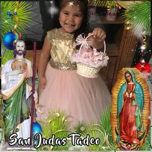 Meet your Posher, Alfredo